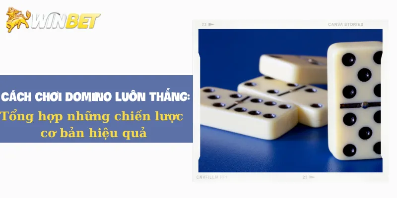 Cách chơi domino luôn thắng