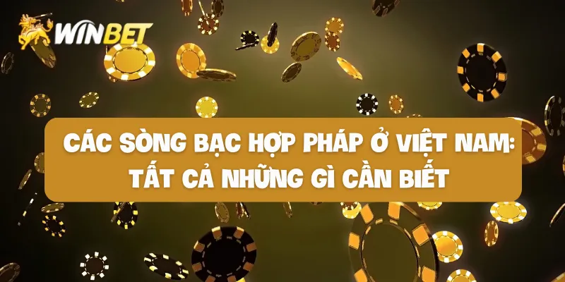 các cơ sở đánh bạc được phép hoạt động tại Việt Nam