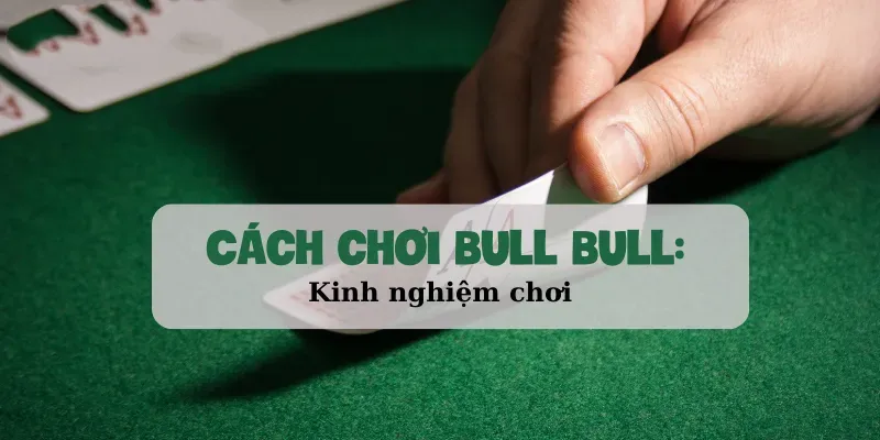 Cách chơi Bull Bull Kinh nghiệm chơi