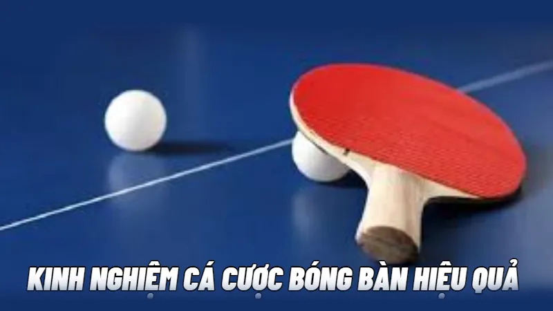 Cách tham gia Cá cược